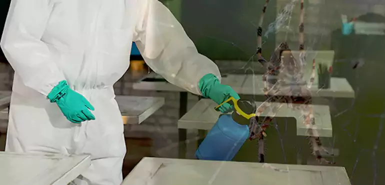 Why Buyers Still Want Homes With Pest Infestations in Lexington, KY?