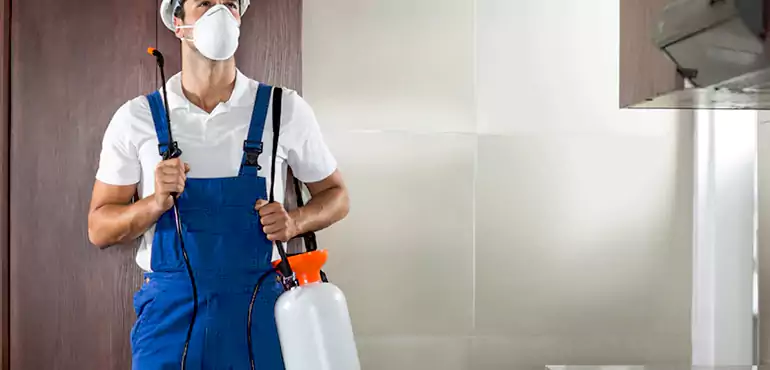 Why Lexington Homeowners Choose Us When Pests Make Selling Difficult
