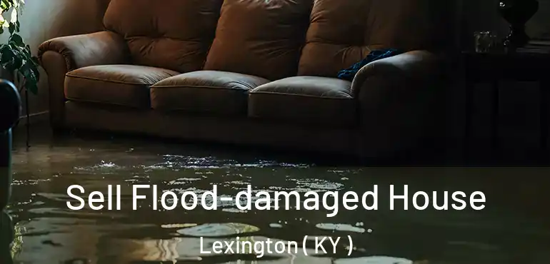  Sell Flood-damaged House Lexington ( KY )
