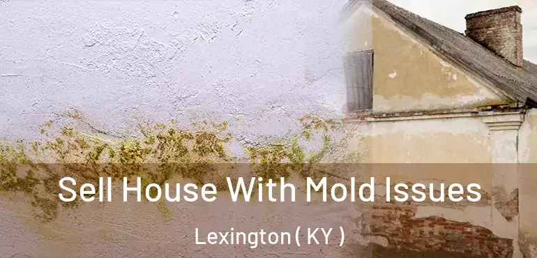  Sell House With Mold Issues Lexington ( KY )